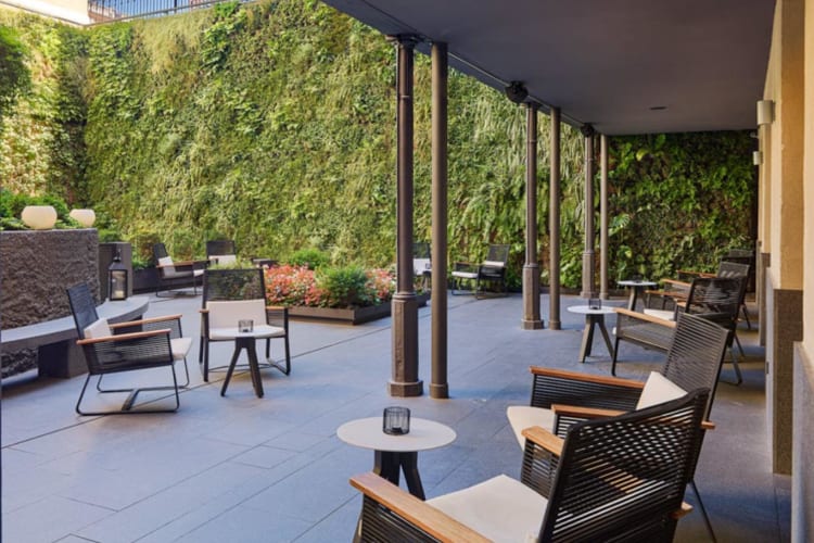 Courtyard garden